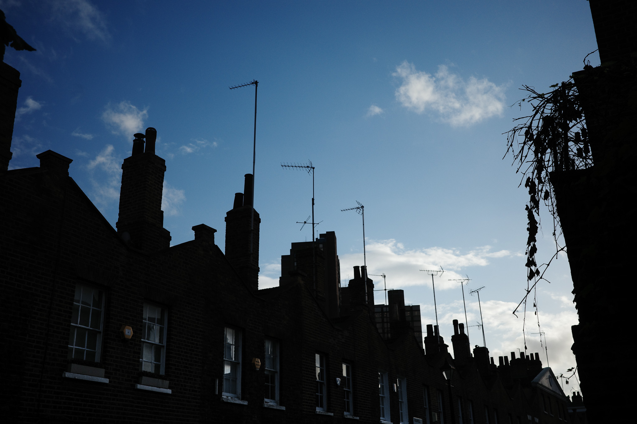 London rooftops — September 2022