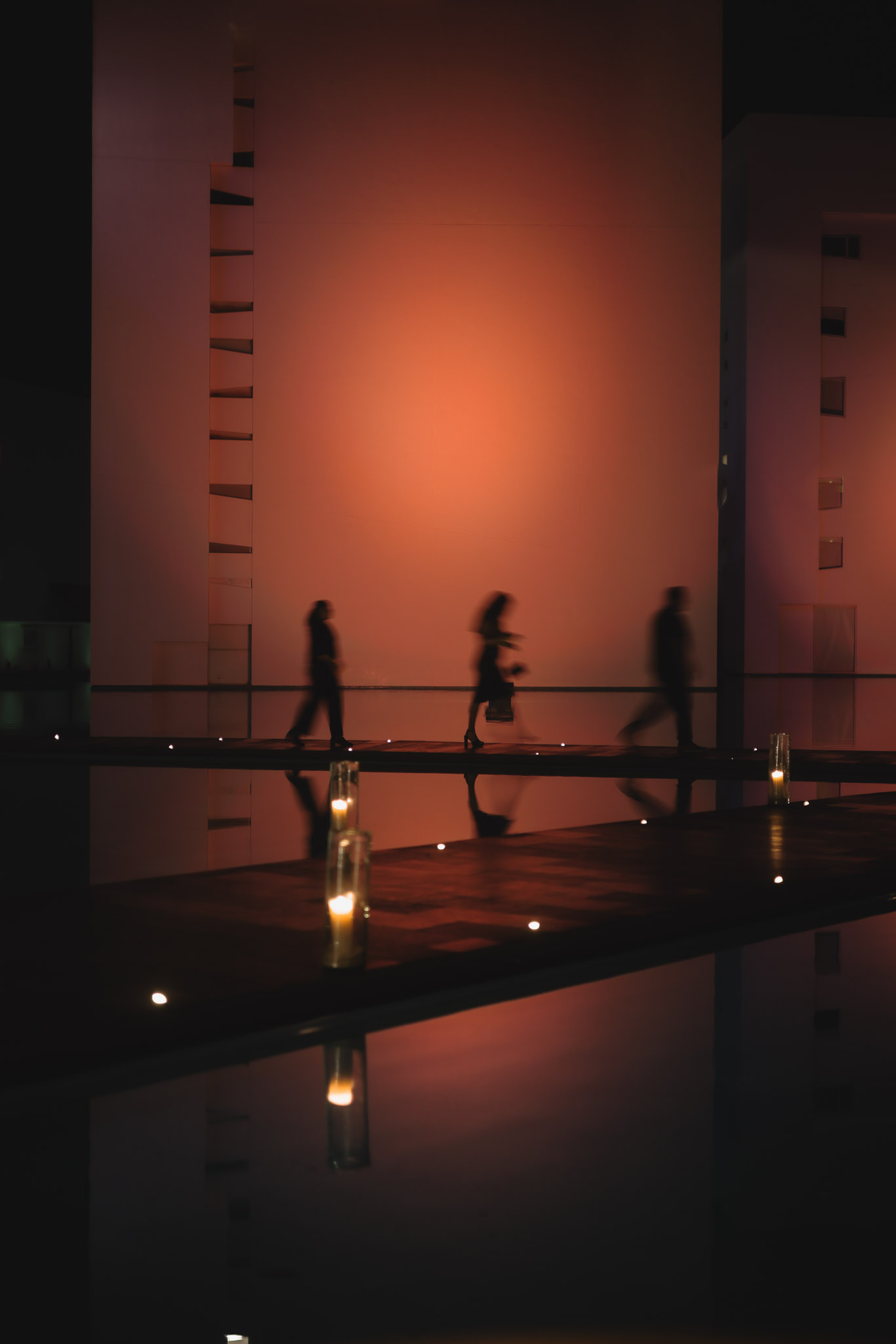 Viceroy — silhouettes