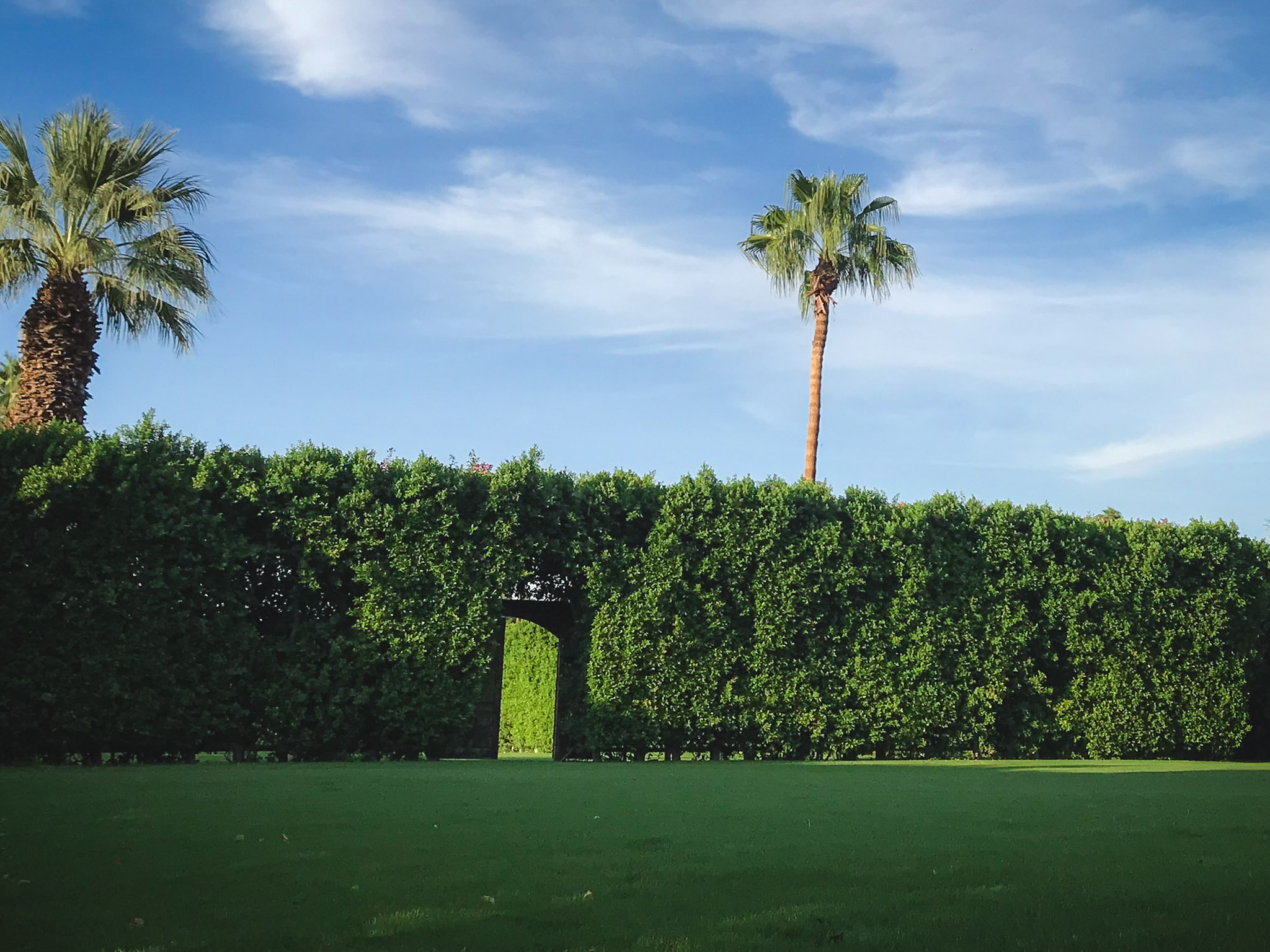 The Parker — hedge archway