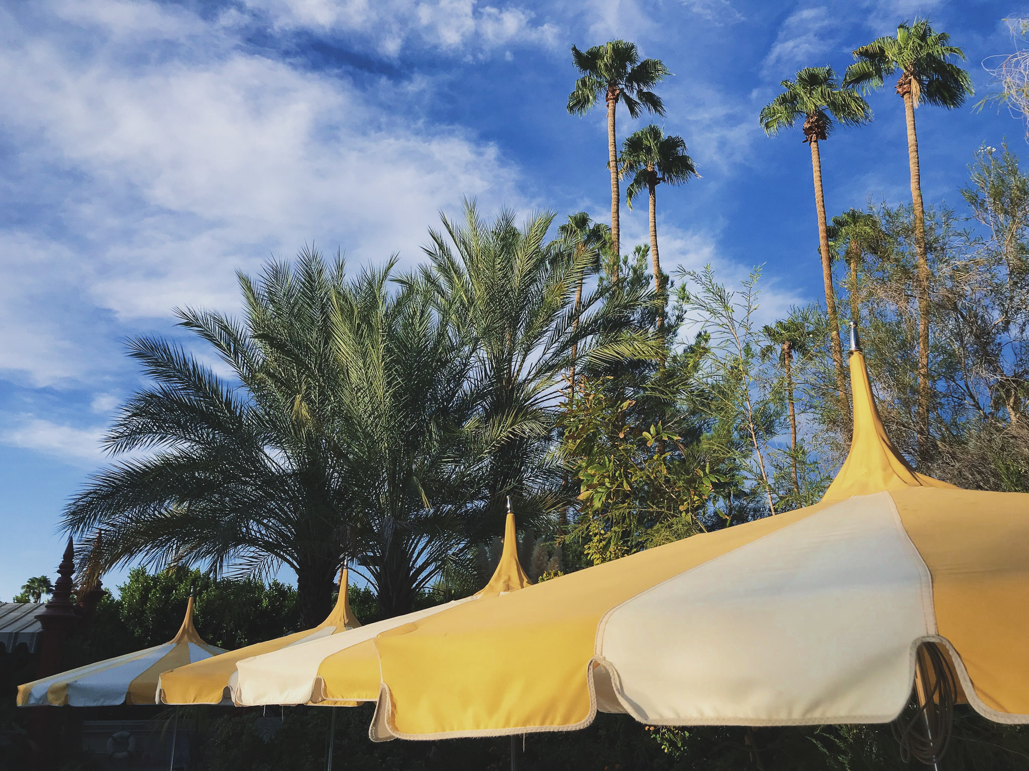 The Parker — cabana umbrellas